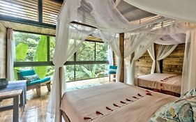La Shamana - Ecological Concept in Jungle