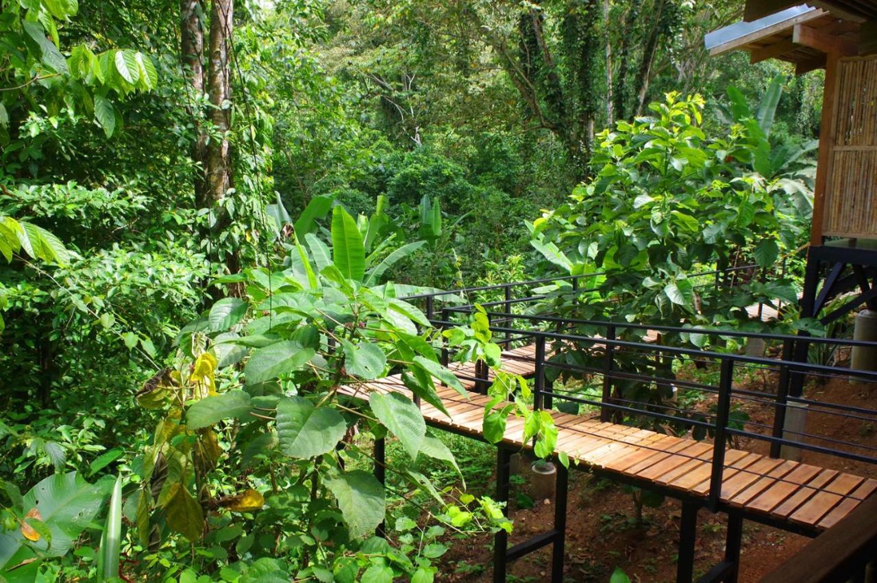 Villa La Shamana - Ecological Concept in Jungle Cahuita Esterno foto