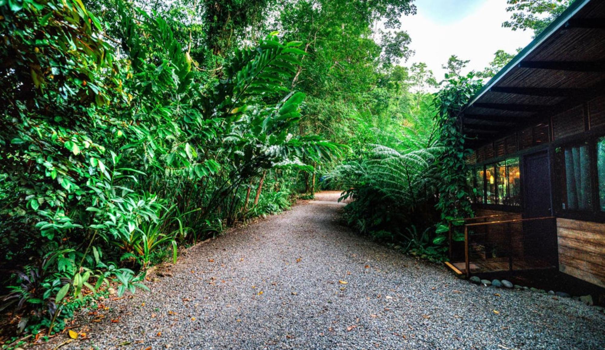 Villa La Shamana - Ecological Concept in Jungle Cahuita Esterno foto