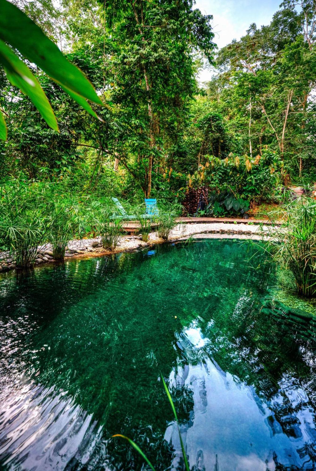 Villa La Shamana - Ecological Concept in Jungle Cahuita Esterno foto
