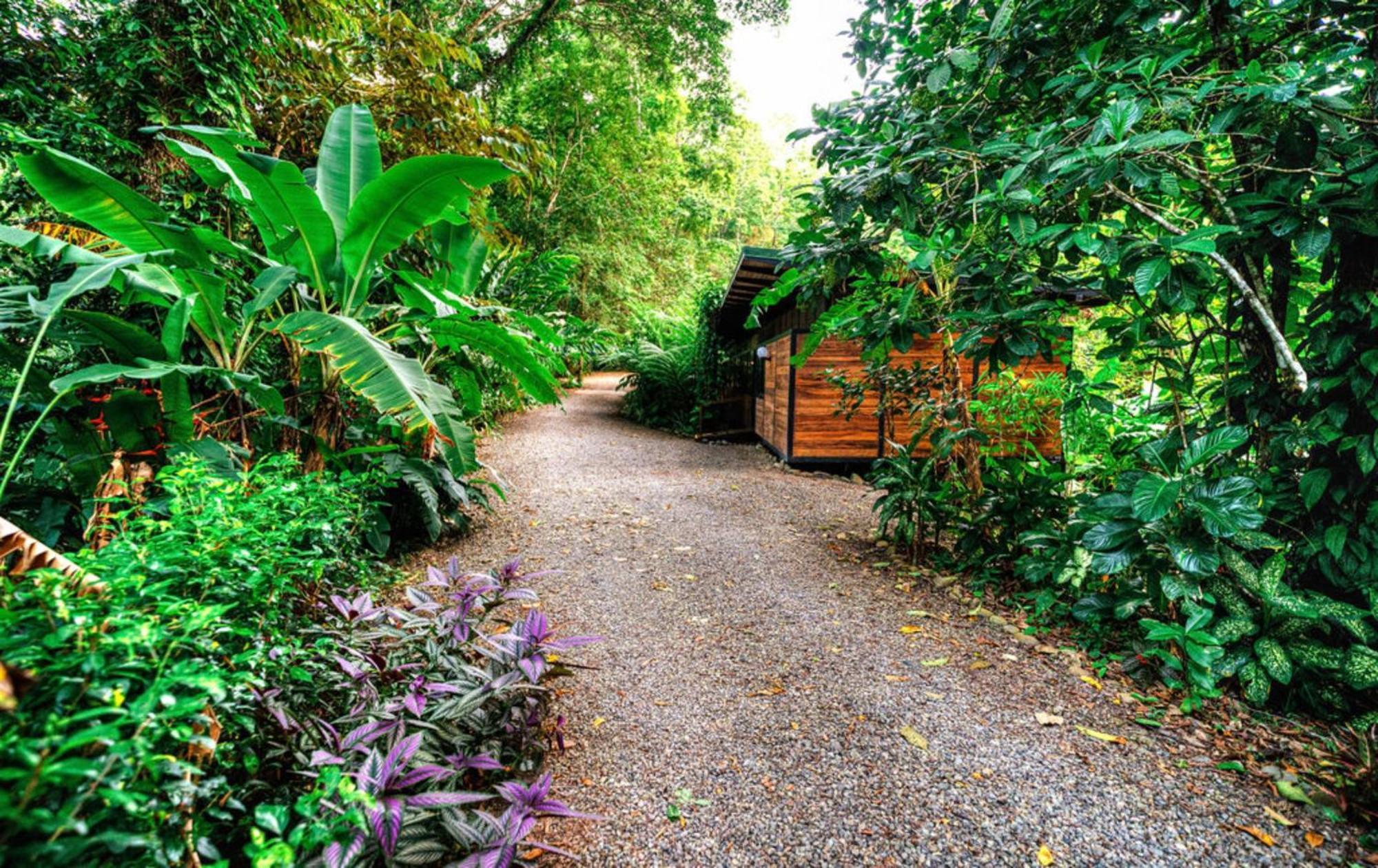 Villa La Shamana - Ecological Concept in Jungle Cahuita Esterno foto