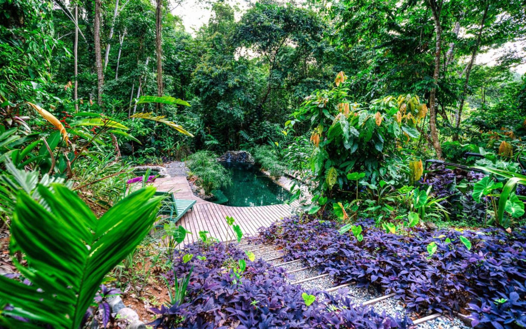 Villa La Shamana - Ecological Concept in Jungle Cahuita Esterno foto