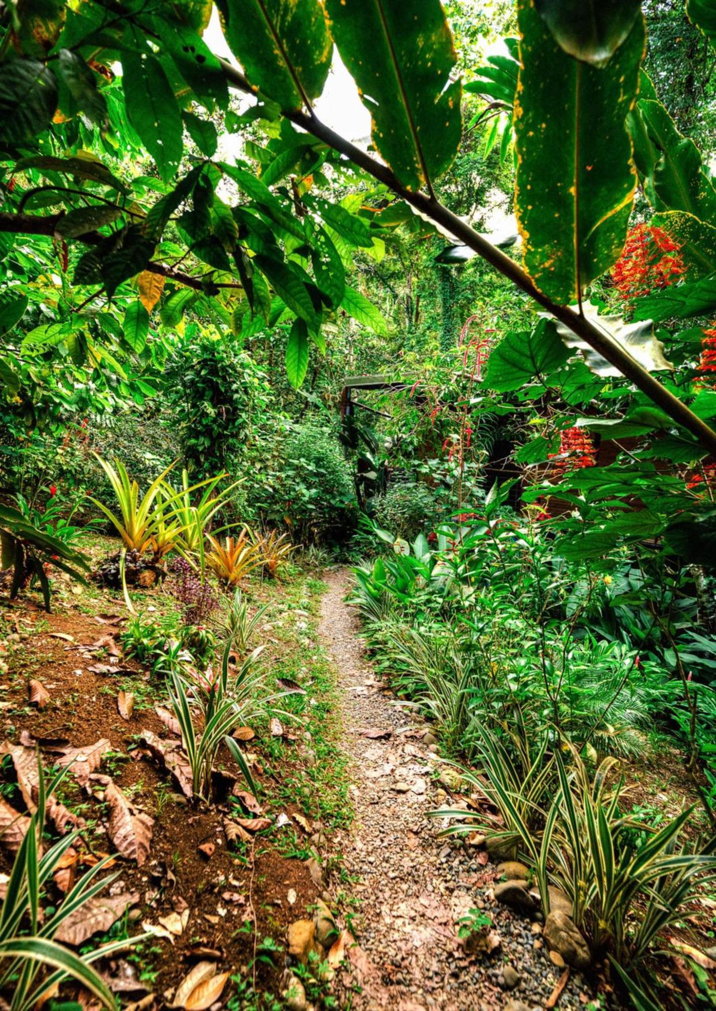 Villa La Shamana - Ecological Concept in Jungle Cahuita Esterno foto